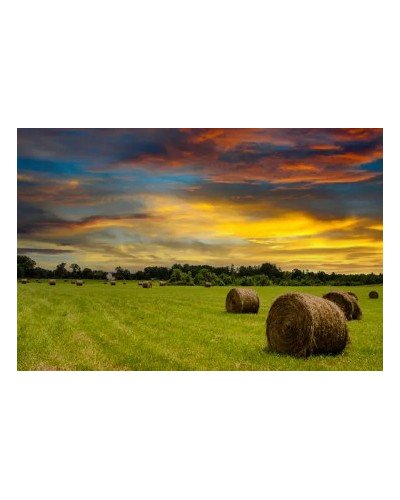 Botte de paille 100 x 50cm h35cm