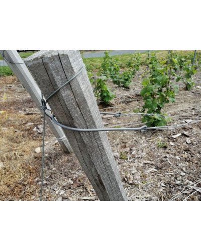 Coulisse vigne ronde diamètre 5mm pour piquets de tête (Sachet de 50)