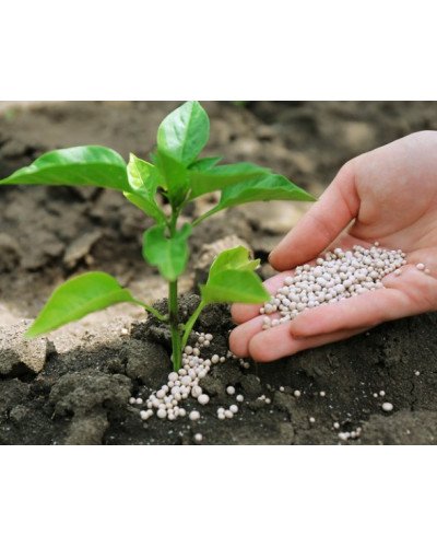 Engrais phosphaté granulé Sac 25kg Superphosphate triple 45% (TSP45) Duroure