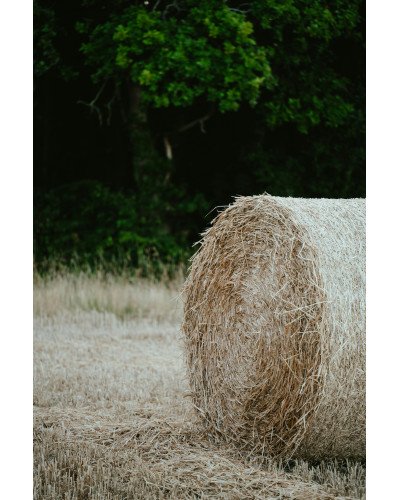 Botte de paille 100 x 50cm h35cm