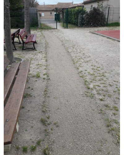 Désherbeur mécanique motorisé BIN'WALK