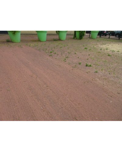 Désherbeur mécanique motorisé BIN'WALK