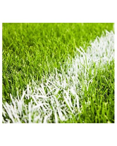 Peinture de traçage blanche 15kg