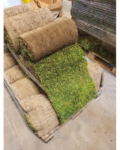 Gazon méditerranéen en plaque 0,4x2,50m