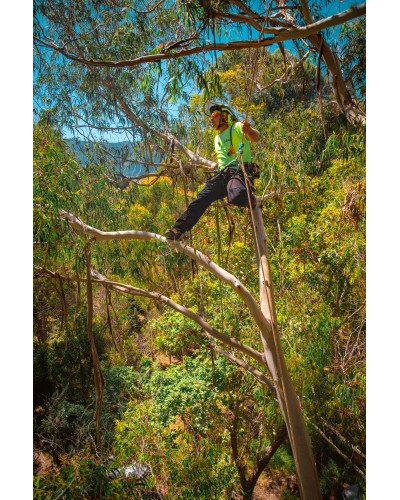 Corde 11.7mm x 50m 2 épissures Komora