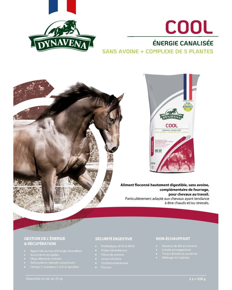 Aliment Floconné Cheval Cool 25kg Dynavena