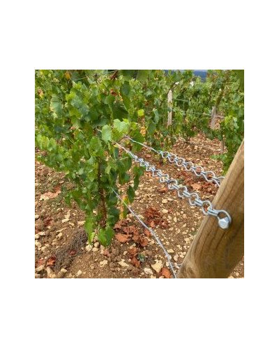 Chainette Fenox 310mm