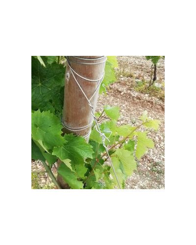 Fil inox spécial vigne Ø3mm 25kg 450m