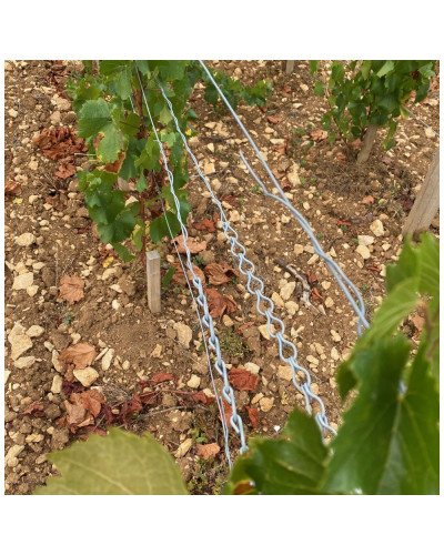 Chainette Fenox 310mm