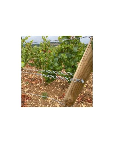 Chainette Fenox 310mm