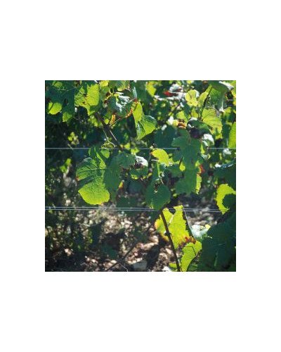 Fil inox palissage spécial vigne Ø1,4mm 13kg 1100m