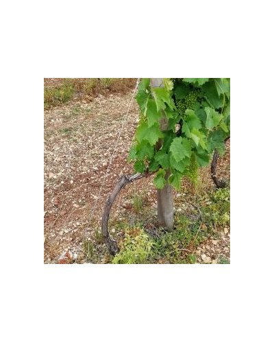 Fil inox spécial vigne Ø3mm 15kg 270m