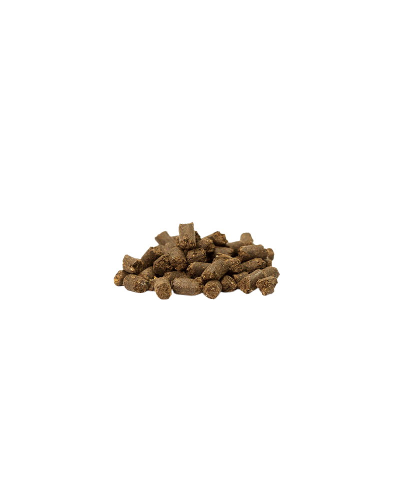 Amendement organique granulé avec engrais 2,8-1-1,5+2Mgo Big bag 500kg Bactor Frayssinet Bio
