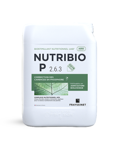 Biostimulant nutritionnel Phosphore BIO bidon 10L NUTRIBIO P