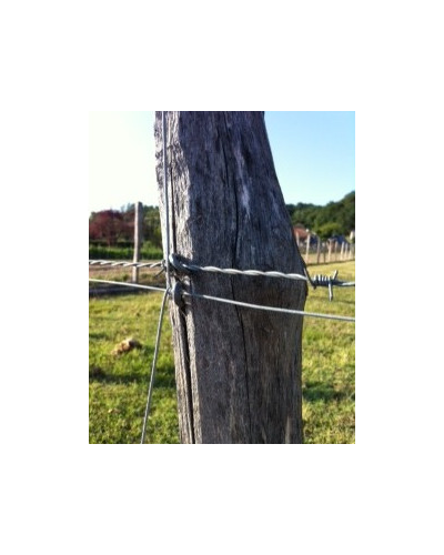Crampillons 17mm