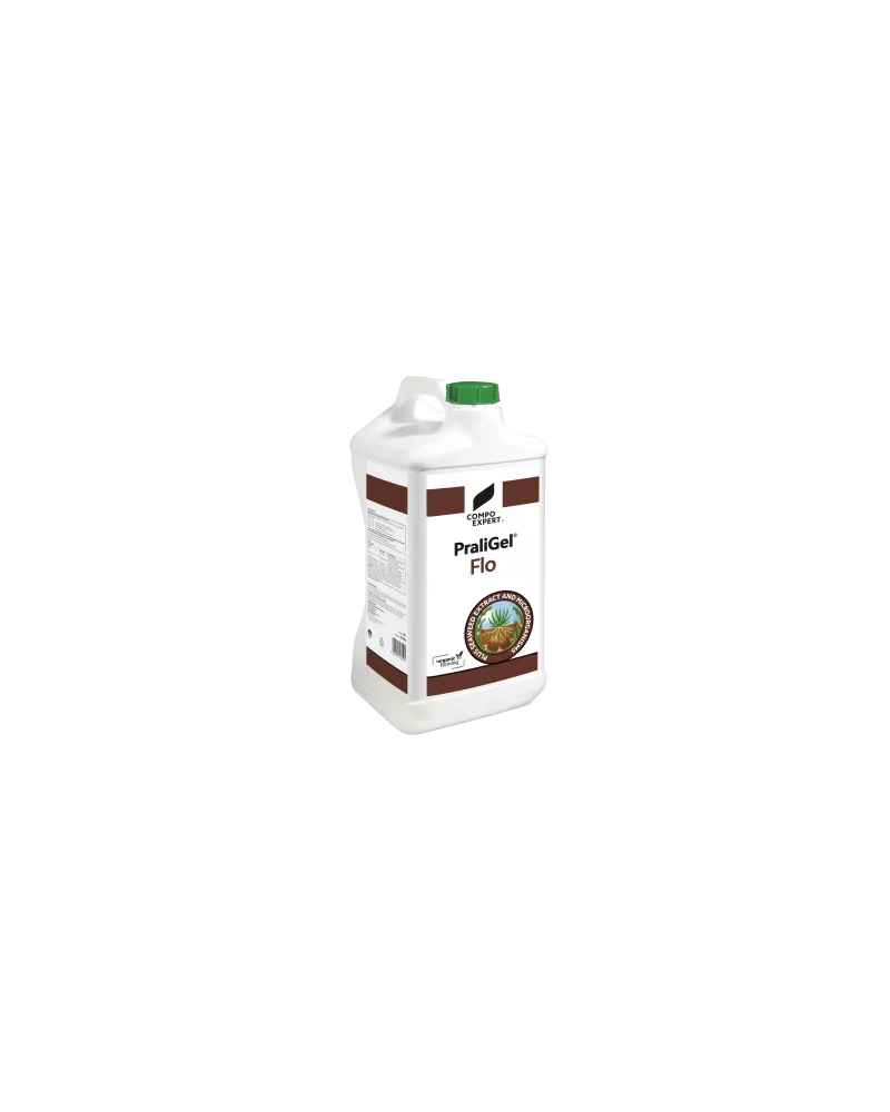 Gel de pralinage bidon de 10L Praligel Flo