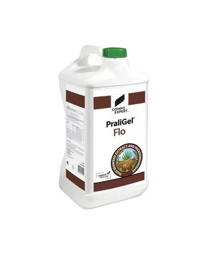 Gel de pralinage bidon de 10L Praligel Flo