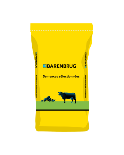 Semence Sainfoin ALBION 25kg Barenbrug