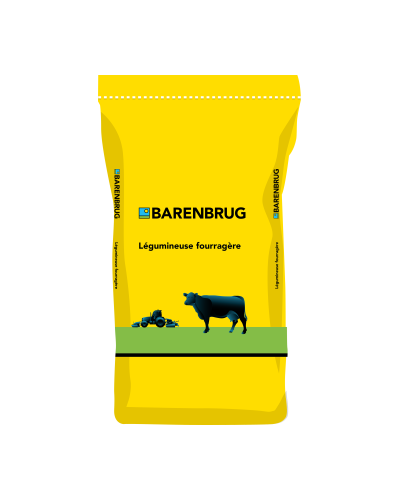 Semence Trèfle incarnat 10kg Barenbrug