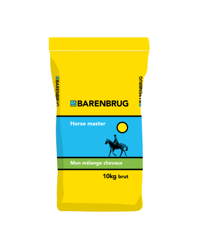 Semence Horse Master Sud 10kg Barenbrug