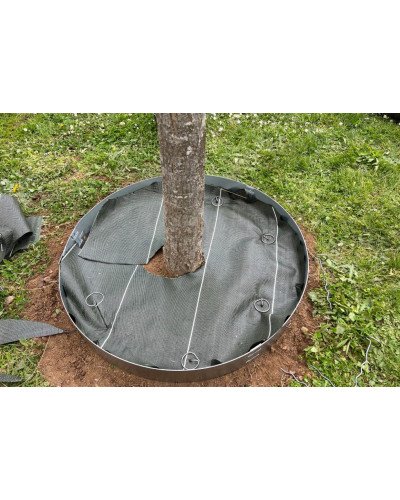 Agrafes picanter 3D Plantco (par 50)