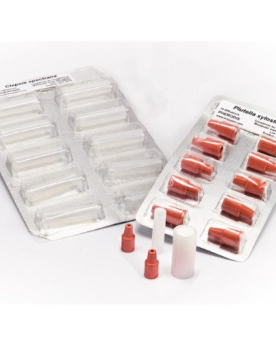 Capsule à phéromones pour le piège à mineuse du marronnier