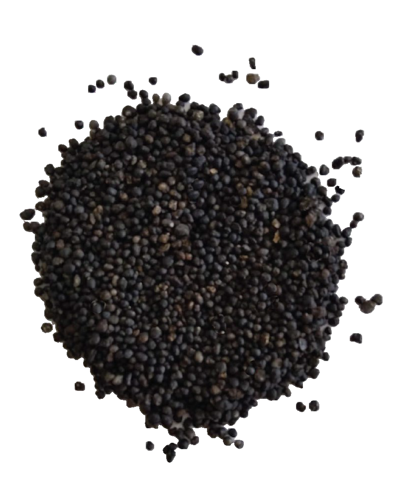 Engrais organo-minéral 15-05-14 + 2MgO + Mn + Zn Greenbion mini prime