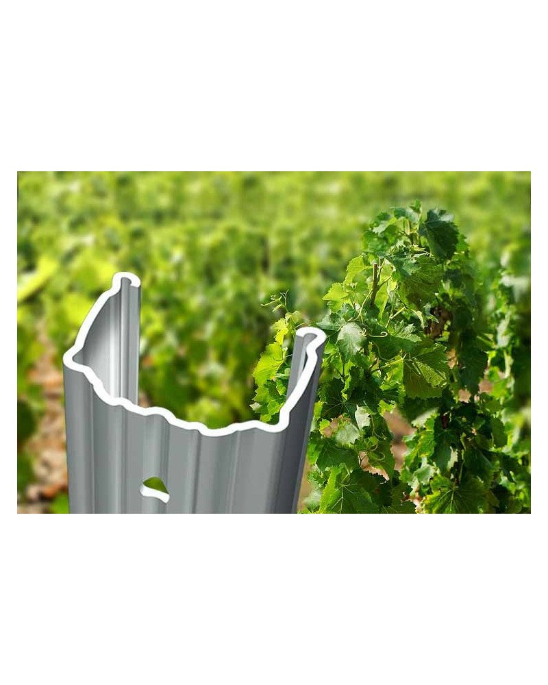 Piquet de tête profilé acier 40x50x2mm 2m20 Miltipic F50 Julien