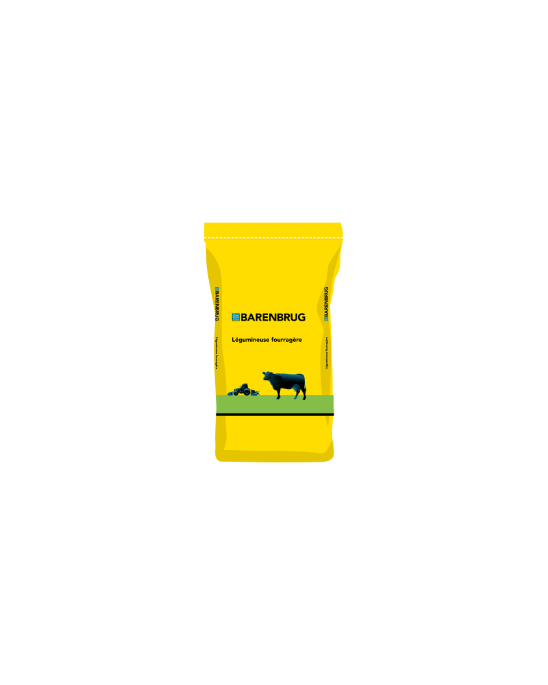 Semence Trèfle incarnat 10kg Barenbrug