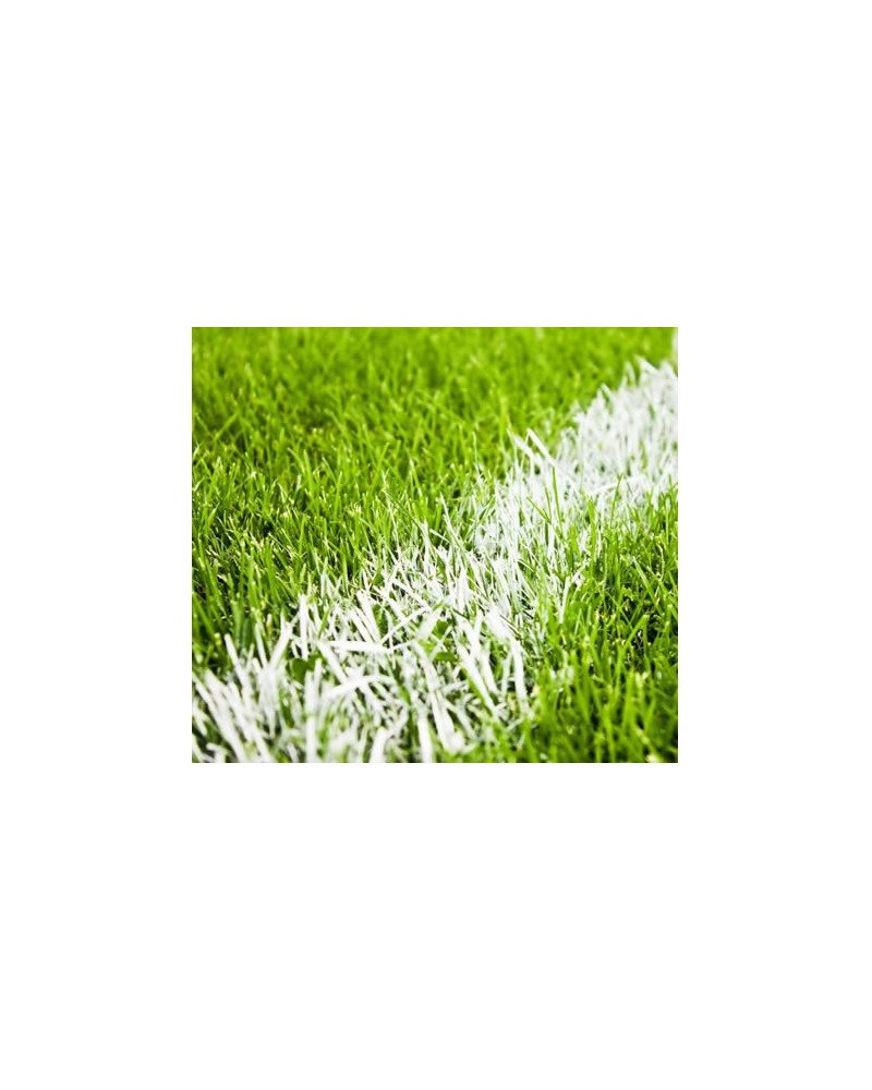 Peinture de traçage blanche 15kg