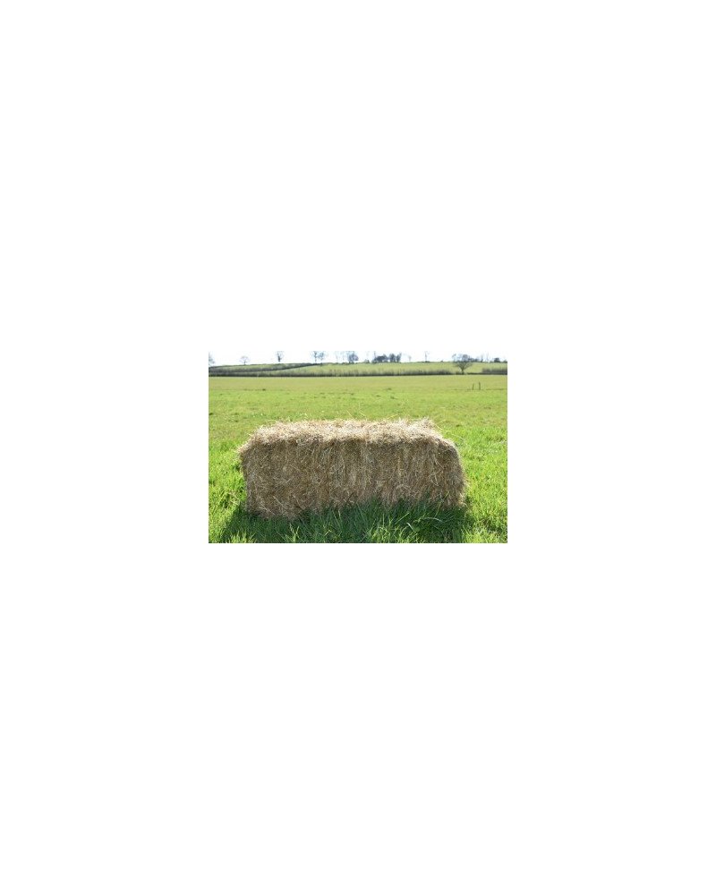 Botte de foin