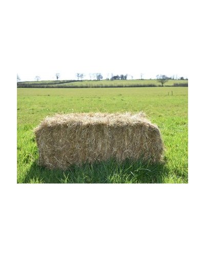 Botte de foin